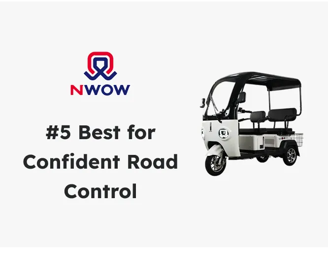 5. Nwow ERVS4 Electric Tricycle icon
